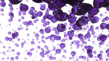 Lavender oil is poured into water creating violet bubbles