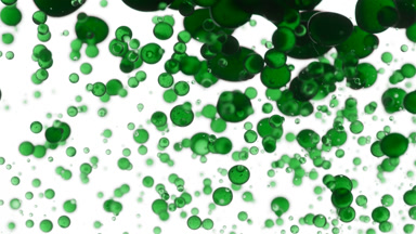 Hemp oil is poured into water creating green bubbles