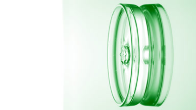 Green drop falls into Petri dish with liquid creating ripples