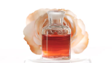 Drop of rose water falls into reagent bottle in front of rose