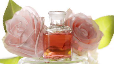 Drops of rose water fall into reagent bottle in front of roses