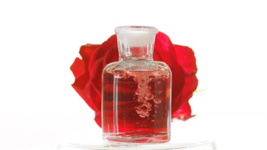 Rose oil pouring into bottle creating bubbles in front of rose