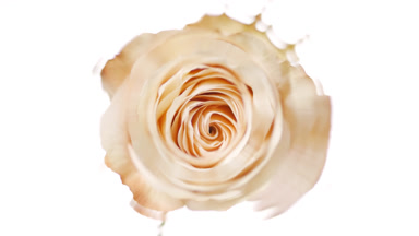 Drop falls down on transparent liquid surface creating circles