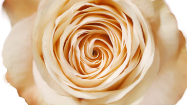Drop falls down on liquid surface creating concentric circles