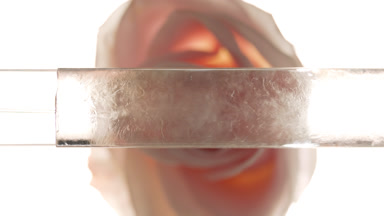 Glycerol is pouring into glass tube with transparent liquid