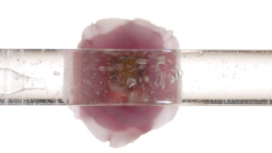 Glycerin is dripped into glass tube with liquid creating bubbles