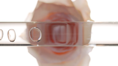 Clear bubbles move in glass tube with clear liquid