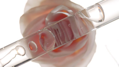 Rose oil is pouring into glass tube with fluid creating bubbles