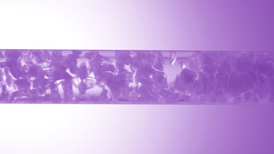 Crystals of sea salt is drowning in glass tube with clear fluid