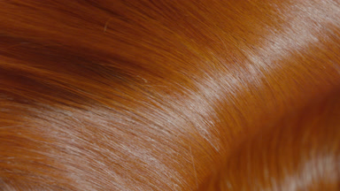 Shaking shiny ginger hair being shake making waves slow motion