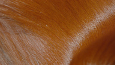 Shaking red hair being shake making waves slow motion