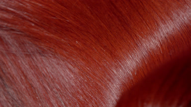 Flowing shiny red dyed hair making slow motion waves