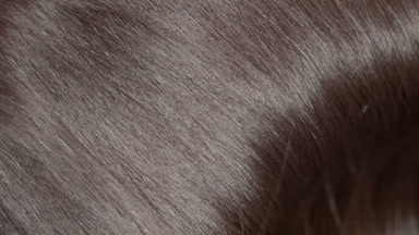 Shaking glossy brown hair making slow motion waves
