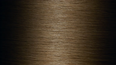 Light reflection passes through straight honey brown hair