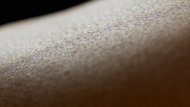 Macro shot of skin of young African American woman