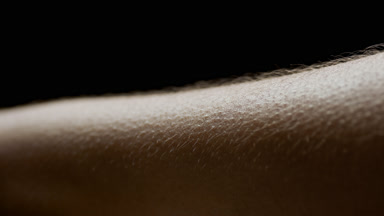 Macro shot of young African American woman's hairy skin