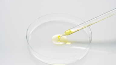 Yellow liquid is dripping from chemical dropper into Petri dish