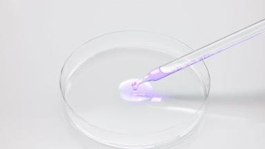 Purple liquid is dripping from chemical dropper into Petri dish