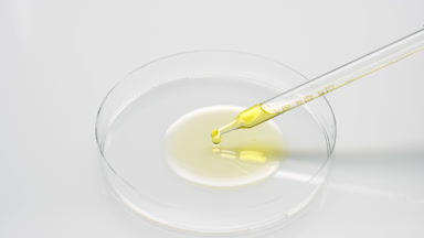 Yellow fluid is dripping from chemical dropper into Petri dish