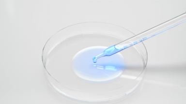 Blue fluid dripping from long chemical dropper into Petri dish