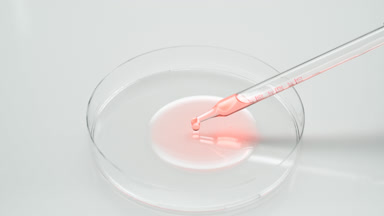Pink fluid is dripping from chemical dropper into Petri dish