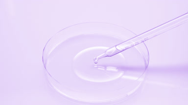 Clear violet fluid is dripping from long dropper into Petri dish