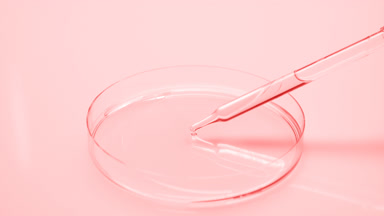Dropper drips clear pink fluid into Petri dish and takes it back