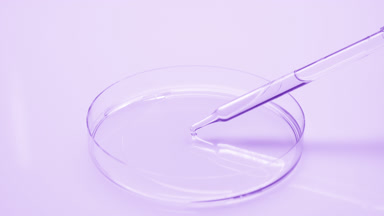 Dropper drips clear purple fluid in Petri dish and takes it back