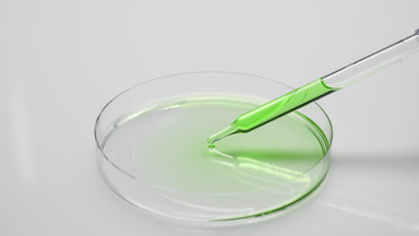 Long dropper drips green fluid in Petri dish and takes it back