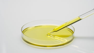 Long dropper drains yellow oil into Petri dish and takes it back