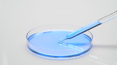 Long dropper drains blue oil into Petri dish and takes it back