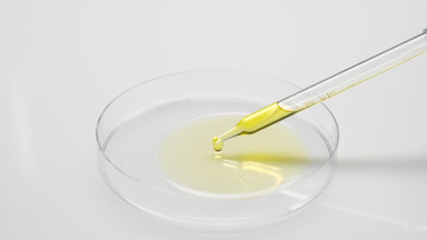 Dropper drips almond extract into Petri dish on grey background