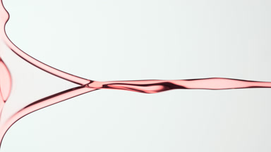 Macro of rose water is flowing and dripping on grey background