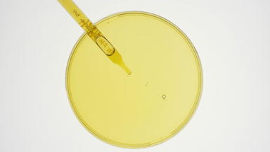 Dropper takes yellow liquid from watch glass and drips it back