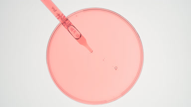 Dropper takes pink liquid from watch glass and drips it back