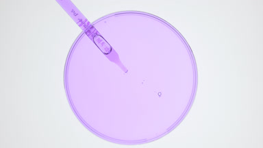 Dropper takes purple liquid from watch glass and drips it back