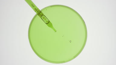 Dropper takes green liquid from watch glass and drips it back
