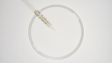 Dropper takes clear liquid from watch glass and drips it back