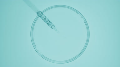 Dropper takes blue liquid from watch glass and drips it back