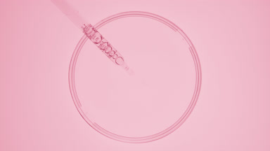 Dropper takes pink liquid from watch glass and drips it back