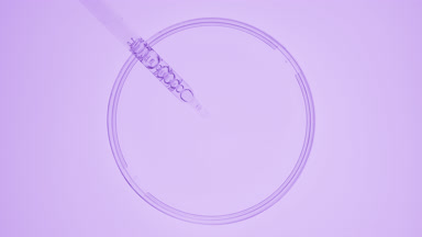 Dropper takes violet liquid from watch glass and drips it back