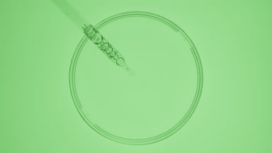 Dropper takes green liquid from watch glass and drips it back