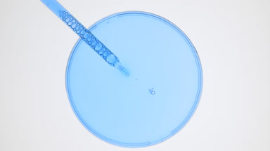 Dropper takes cyan liquid from watch glass on grey background