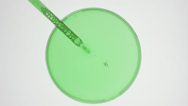 Dropper takes green liquid from watch glass on grey background