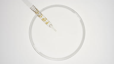 Dropper takes clear fluid from watch glass and drips it back