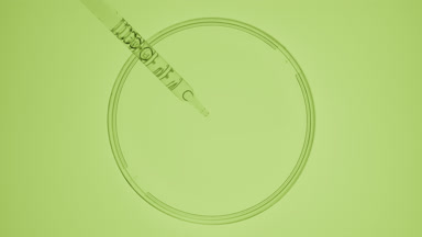 Dropper takes green fluid from watch glass and drips it back