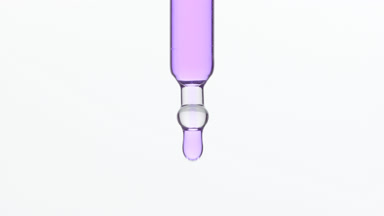 Lavender oil is dripping from lab dropper on grey background