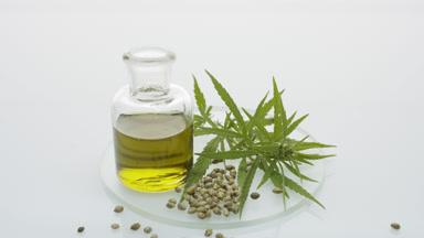 Hemp sprig, hemp seeds and bottle with hemp oil on watch glass