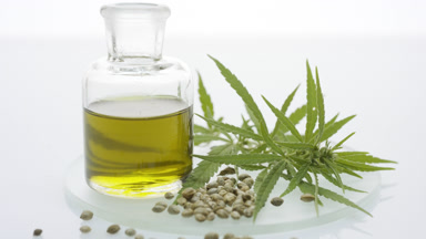 Hemp sprig, hemp seeds and bottle with oil on watch glass round