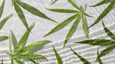 Macro shot of water ripples on white background with hemp leaves